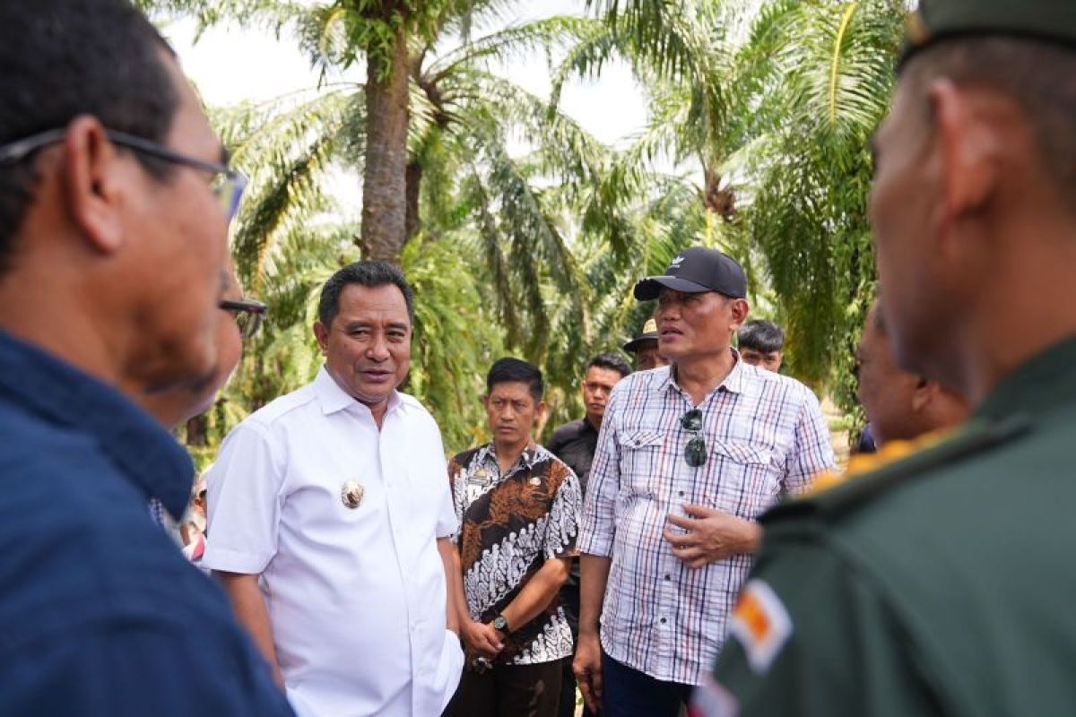 Sistem Pengelolaan Anggaran Terpadu PTPN XIV untuk Efisiensi Keuangan