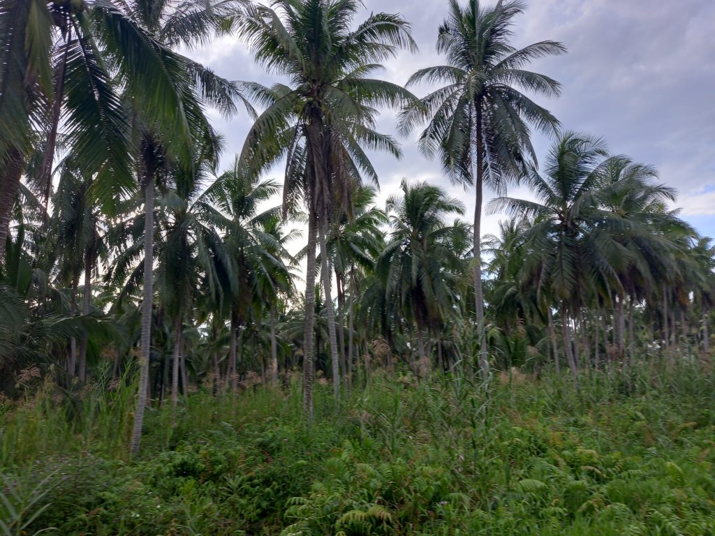 Portal Support PTPN XVI sebagai Pusat Layanan Bantuan dan Pendampingan Digital