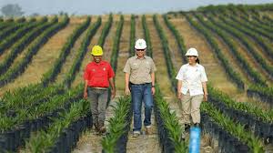 R&D Web Asian Agri sebagai Platform Pengelolaan Riset dan Pengetahuan Korporasi